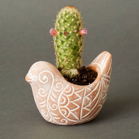 Mini Terracotta Bird Pot