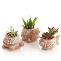 Mini Terracotta Fish Frog Turtle Pot Set