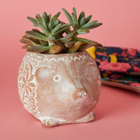 Small Floral Terracotta Hedgehog Pot