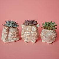 Small Floral Terracotta Owl Hedgehog Snail Pot Set