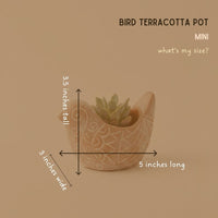 Small Rangoli Terracotta Bird Pot Set