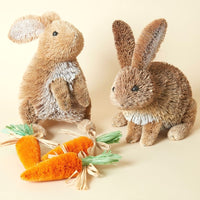 Sitting Easter Bunny Carrots Set of 4