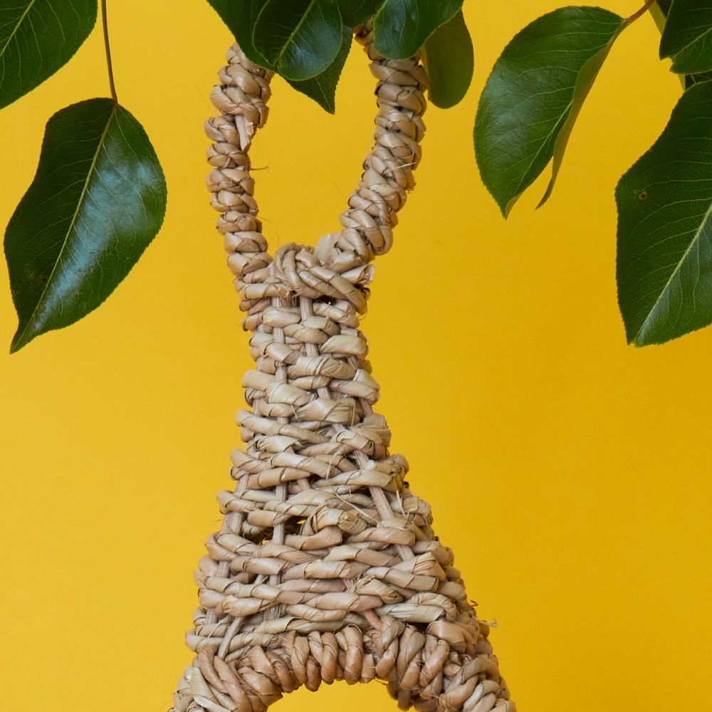 Buri Rope Bird Feeder