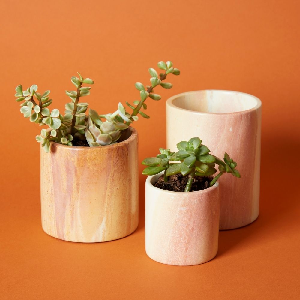 succulent pot set Kisii Stone Cylinder White Succulent Pot Set – Artisan Variety