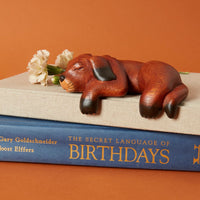 Brown Sleeping Shelf Dog