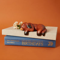 Brown Sleeping Shelf Dog