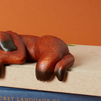 Brown Sleeping Shelf Dog