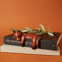 Brown Sleeping Shelf Cat