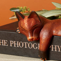 Brown Sleeping Shelf Cat