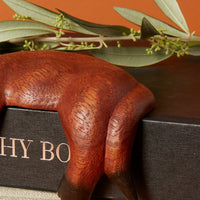 Brown Sleeping Shelf Cat