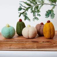 Fall Harvest Mini Pumpkin Set of 5