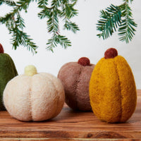 Fall Harvest Mini Pumpkin Set of 5