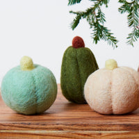 Fall Harvest Mini Pumpkin Set of 5