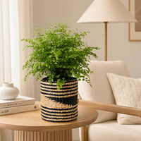 Small Seagrass Woven Basket, Natural Black, 9" Wide