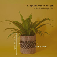 Small Seagrass Woven Basket, Natural Black, 9" Wide