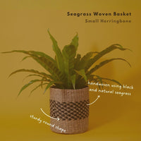 Small Seagrass Woven Basket, Natural Black, 9" Wide