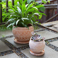 Small Rangoli Terracotta Belly Pot Saucer