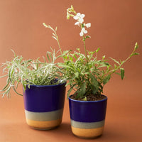 Ocean Ceramic Planter Set