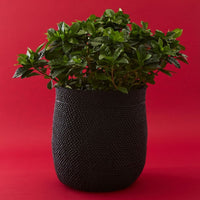 Black Iringa Indoor Planter Toy Storage Woven Basket Set