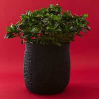 Medium Black Iringa Indoor Planter Toy Storage Woven Basket