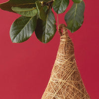 India Coconut Coir Rain Drop Bird House