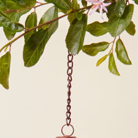 Acorn Peanut Bird Feeder