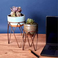 Small Iron Plant Stand Set