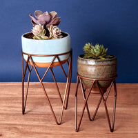 Small Iron Plant Stand Set