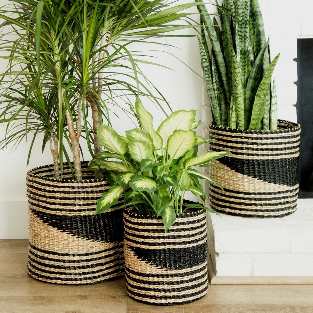 small seagrass plant pot 14" Small Geometric Seagrass Planter Shelf Baskets Set – Artisan Variety