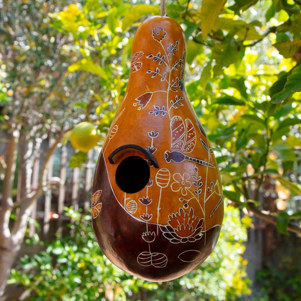 Birdhouse Hole Size Chart Amish Gourds Hand Painted Gourds,, 59% OFF