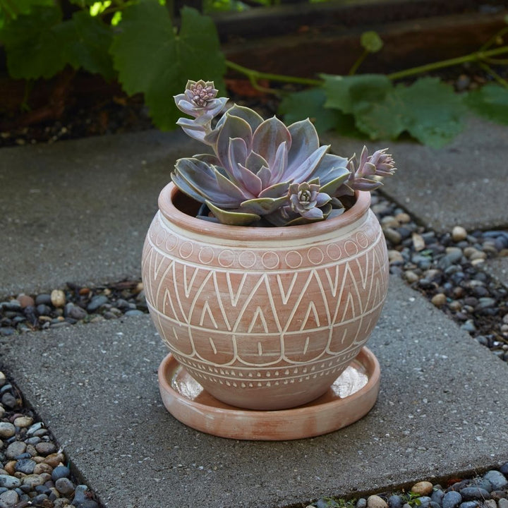 Outdoor Pots