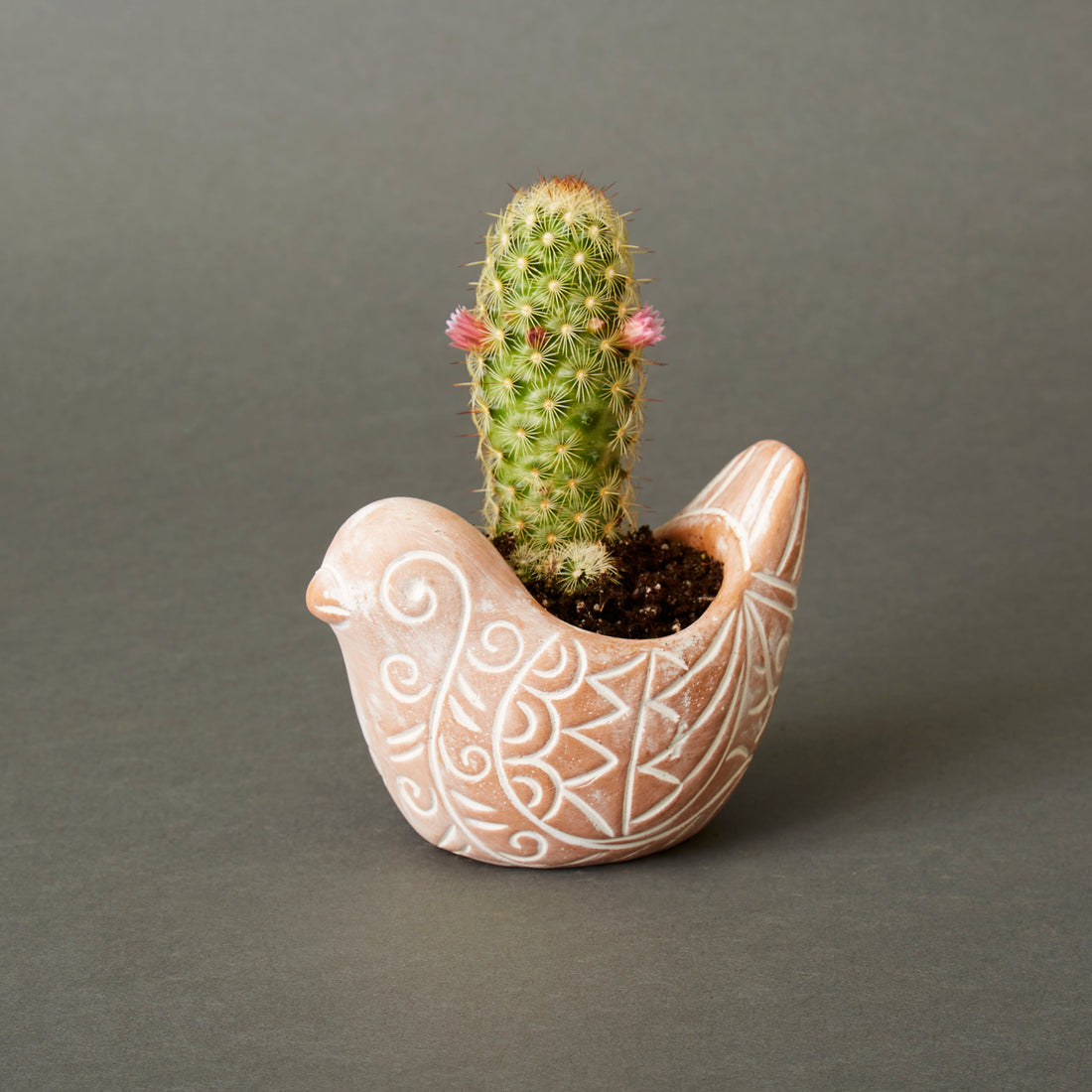 Small Rangoli Terracotta Bird Pot