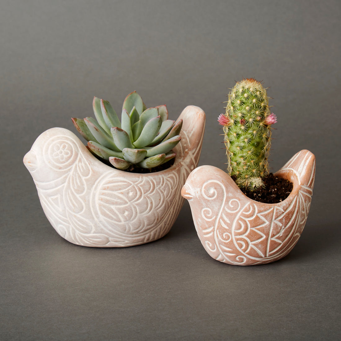 Small Rangoli Terracotta Bird Pot Set