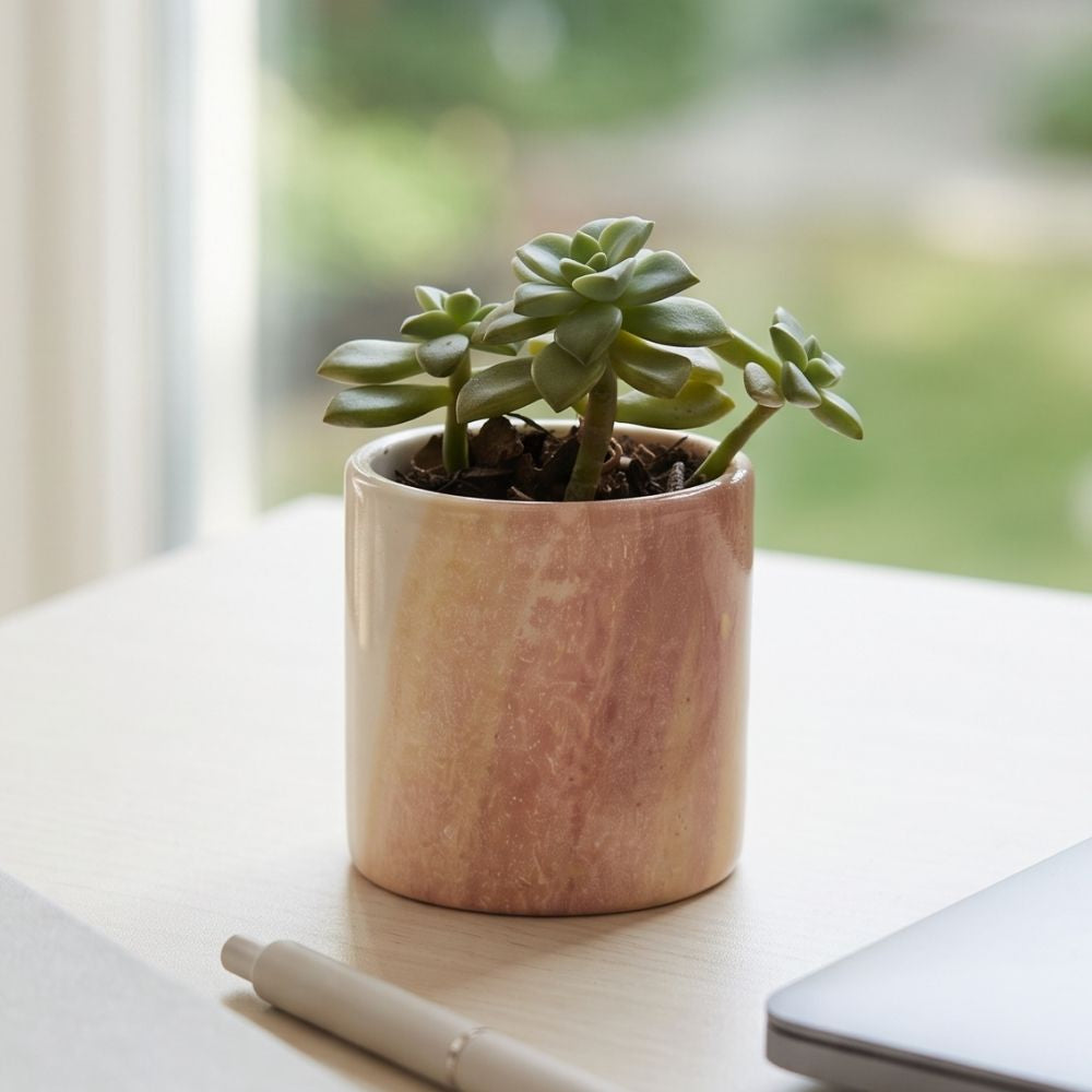 Kisii Stone Cylinder White Succulent Pot Set