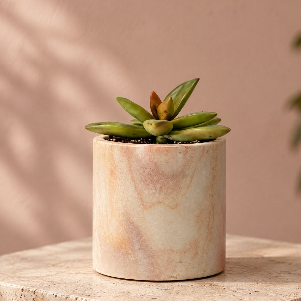 Kisii Stone Cylinder White Succulent Pot Set
