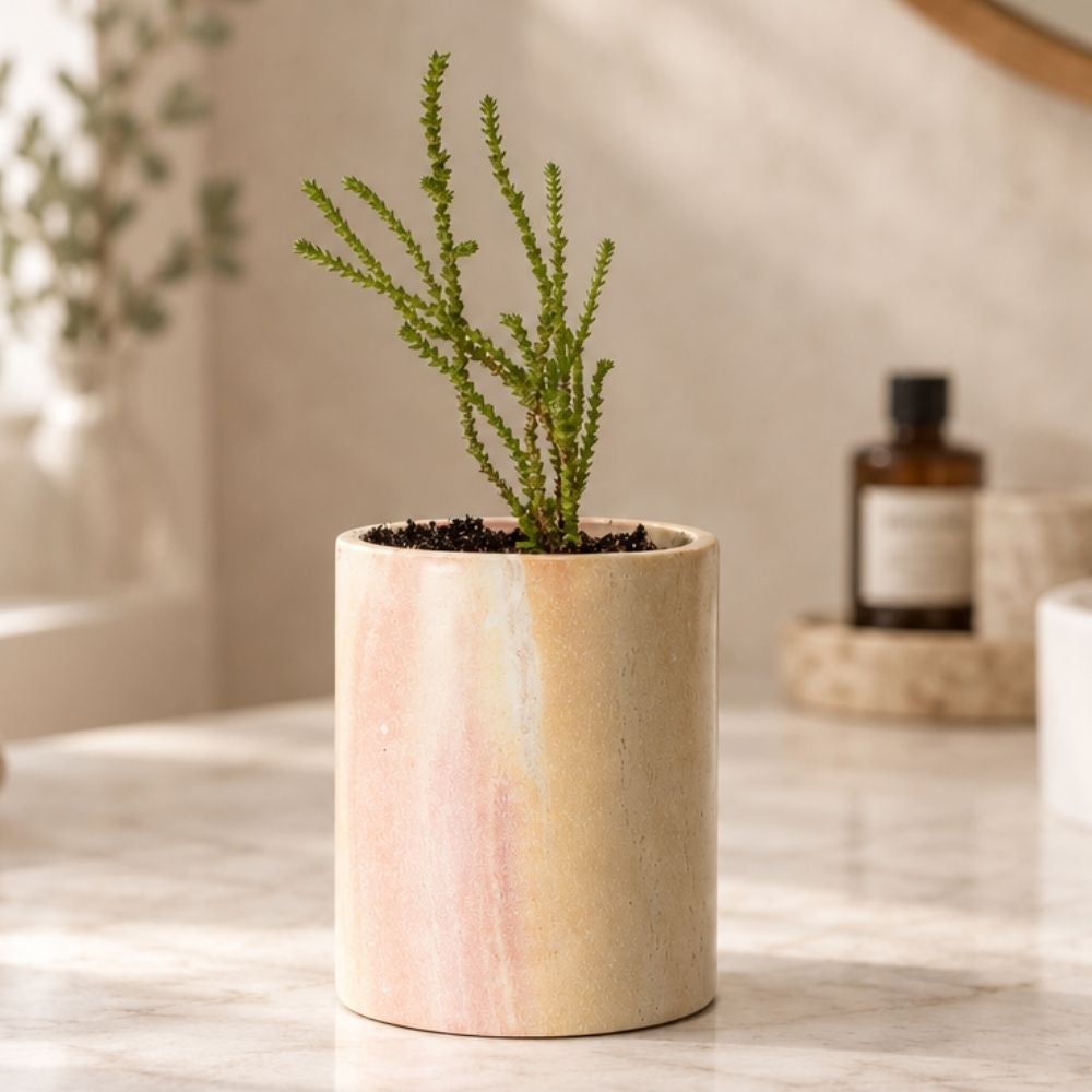 Kisii Stone Cylinder White Succulent Pot Set