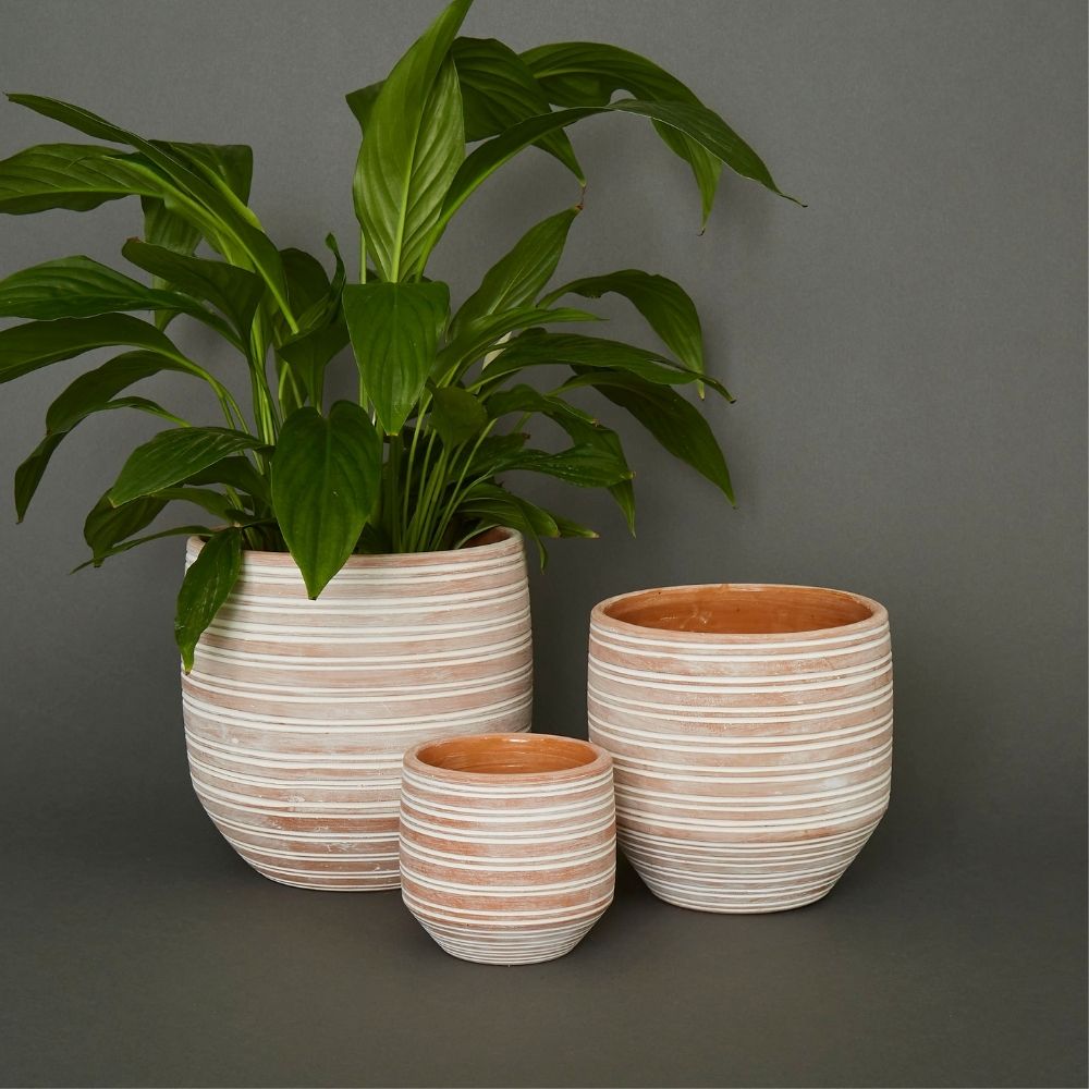 7.5" Small Striped Terracotta Pot