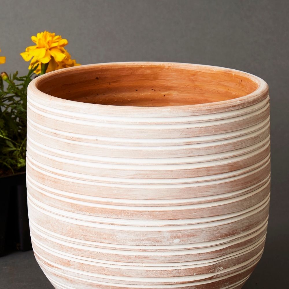 Large Striped Terracotta Pot