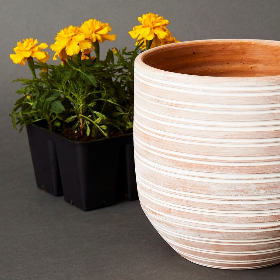 7.5" Small Striped Terracotta Pot