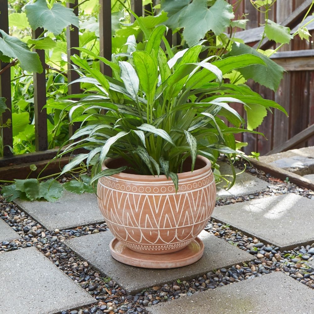 Large Terracotta Belly Pot Saucer