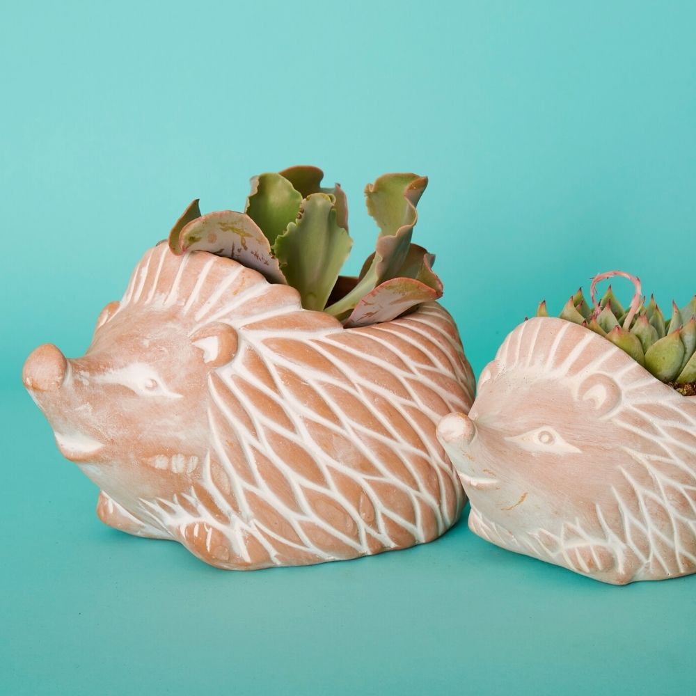 Large Terracotta Hedgehog Pot