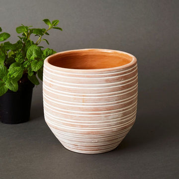 6.5" Small Striped Terracotta Pot
