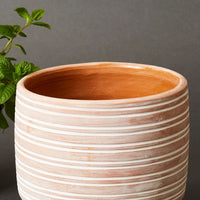 Medium Striped Terracotta Pot