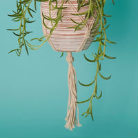 Macrame Terracotta Pot Hanging Set