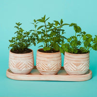 Small Terracotta Pot Tray Set