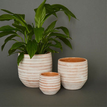 Striped Terracotta Pot Set