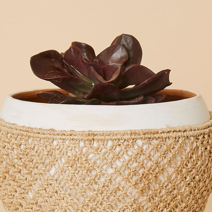 Small Macrame Wrap Terracotta Pot