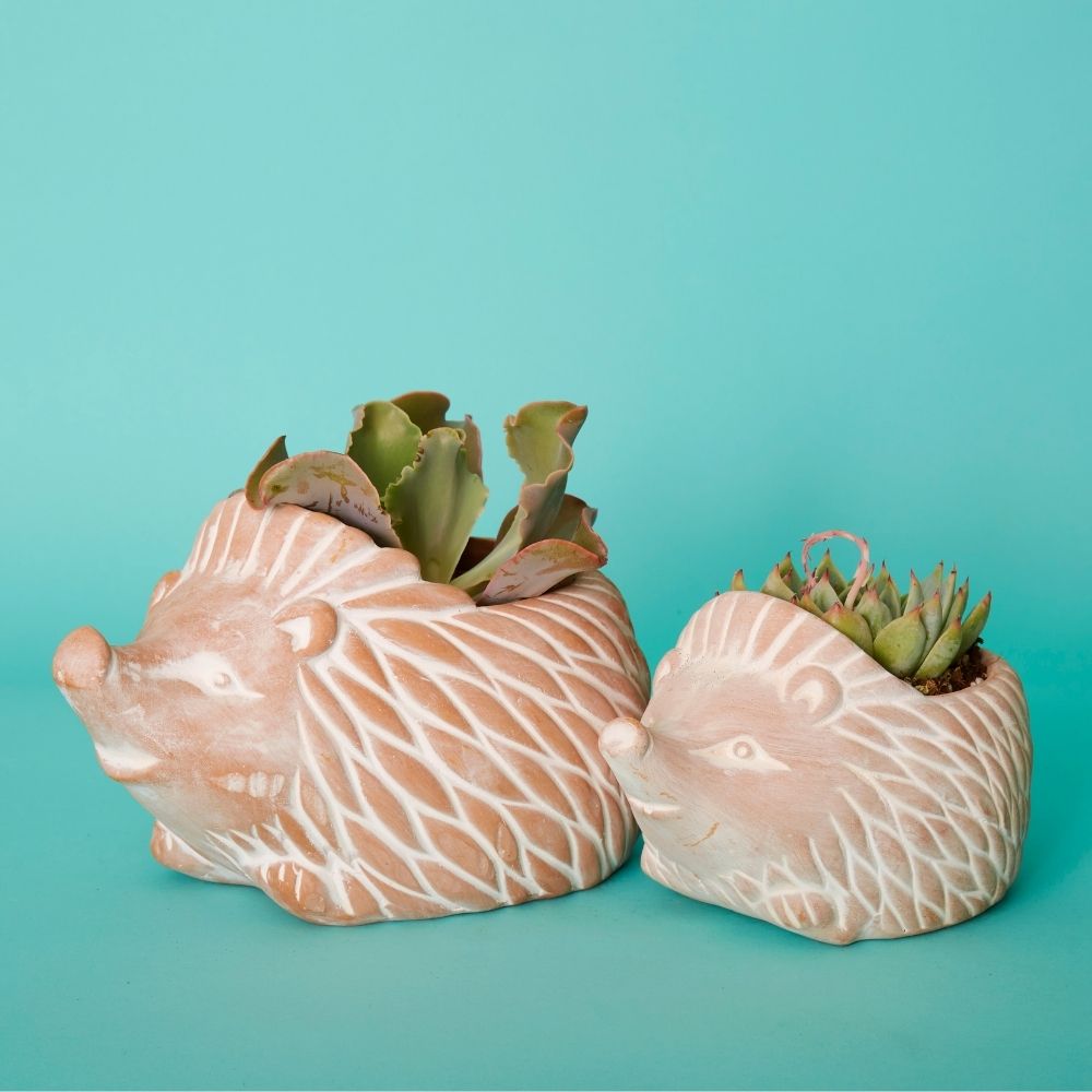 Terracotta Hedgehog Pot Set