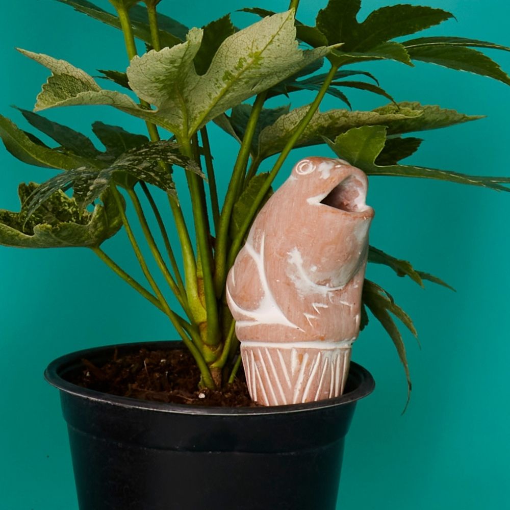 Bird Frog Terracotta Watering Stake Set