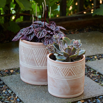 Cylindrical Terracotta Pot Set